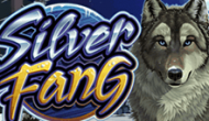 Silver Fang